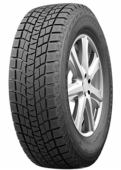 RW501 IceMax