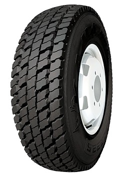 NR 202
