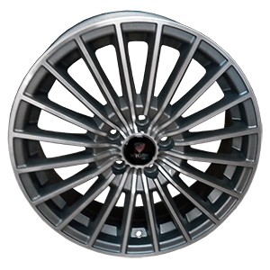 WGR2510 GMFP