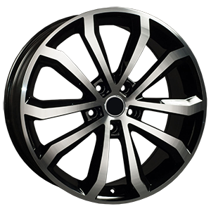 SK41 BFP