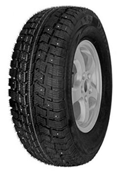 Vettore Inverno V-524